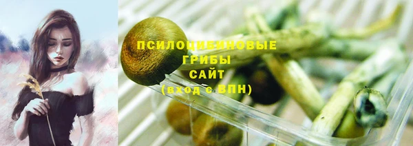 не бодяженный Новодвинск