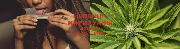 эйфоретик Новокубанск