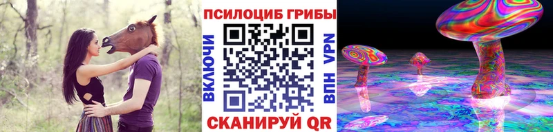 omg как зайти  Североуральск  Псилоцибиновые грибы Cubensis 