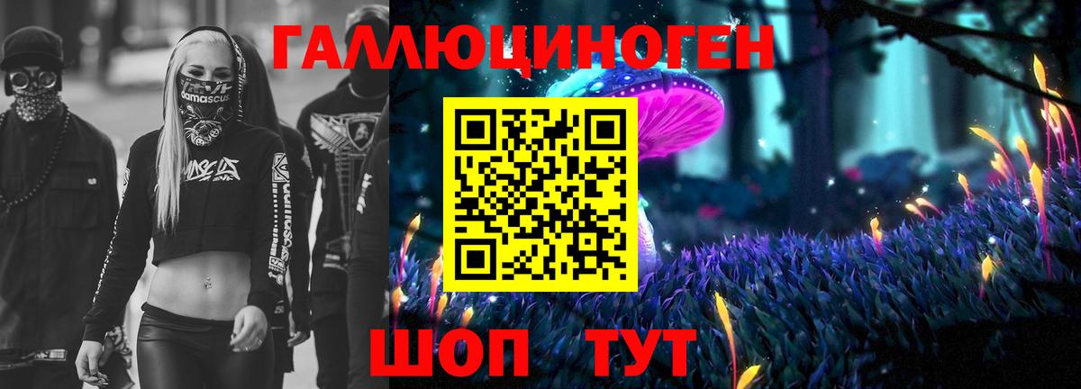 Псилоцибиновые грибы Psilocybe Североуральск